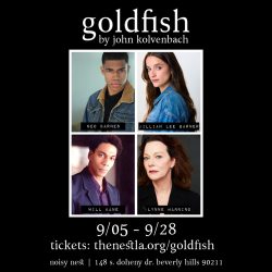 Goldfish_IG square HS